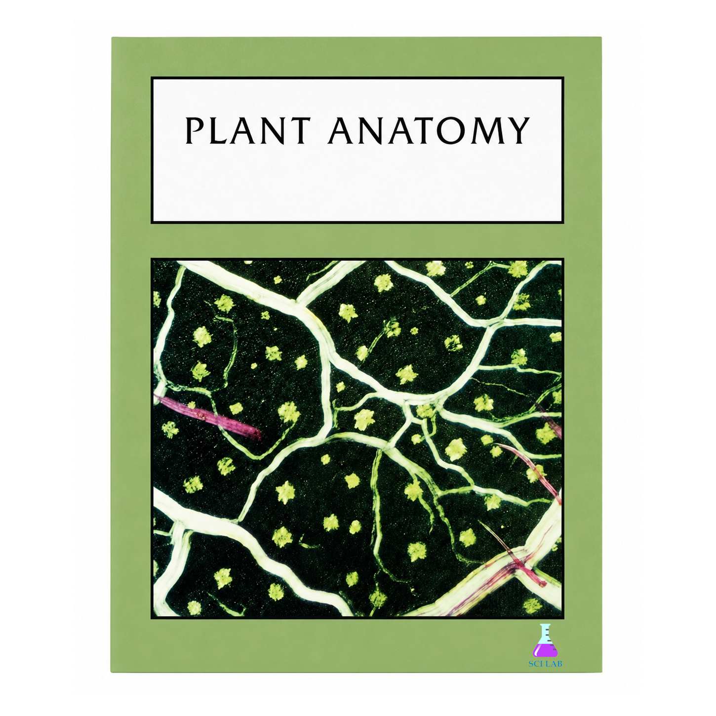 Biology 5 (Plants 1) Student Workbook