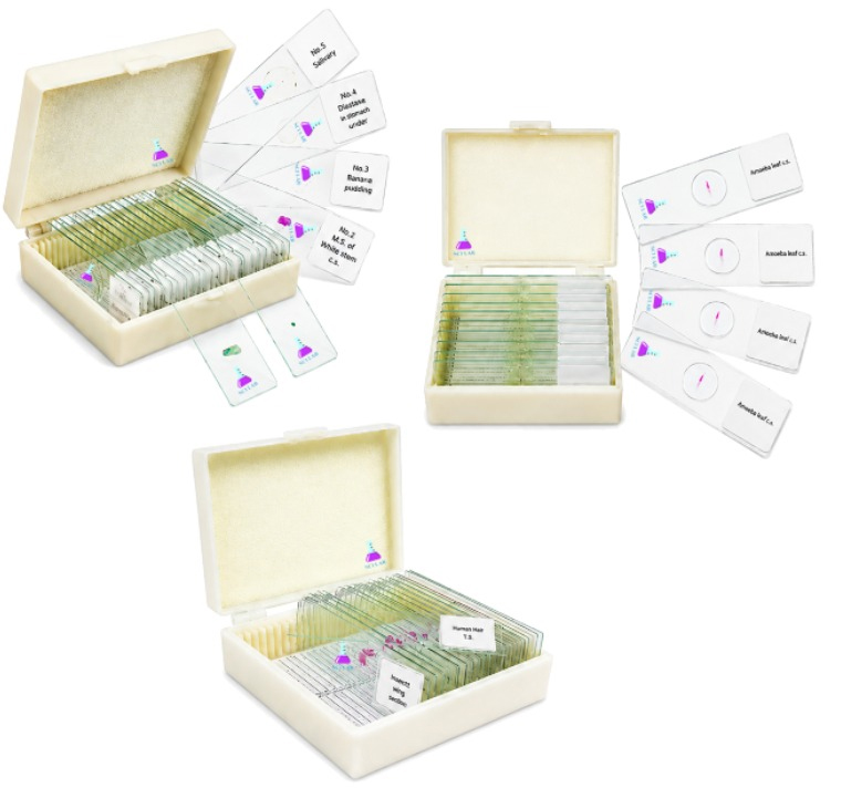 Set of Microscope Slides