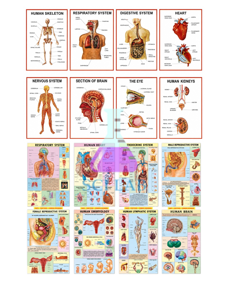 Teaching Boards