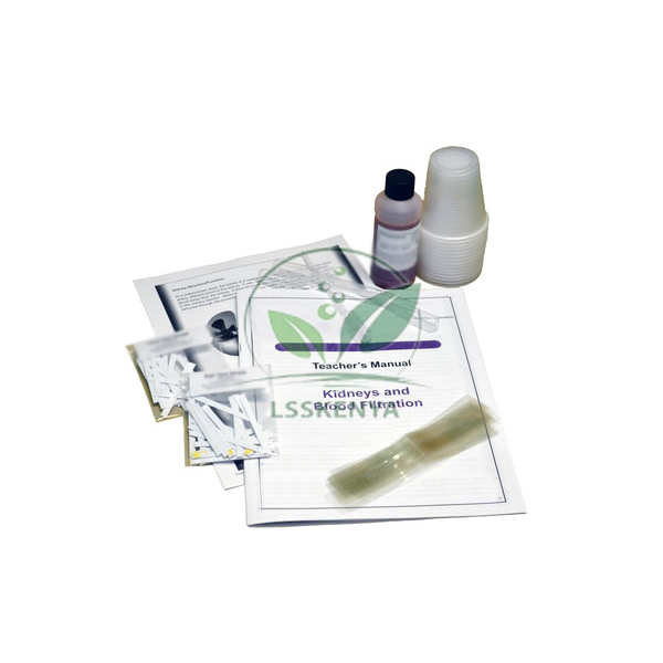 Kidneys and Blood Filtration