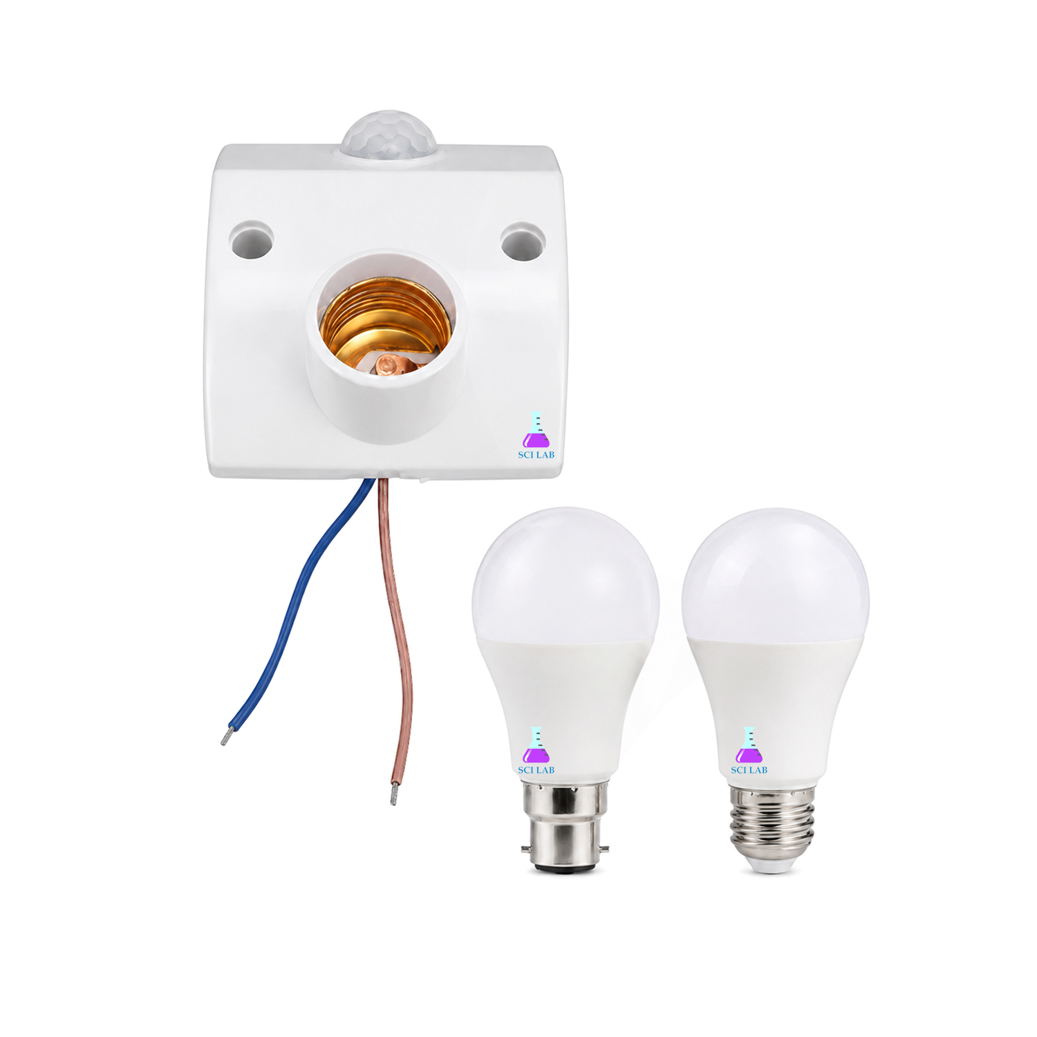 Light Bulb
