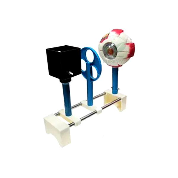 Human Eye kit Model (Functional)