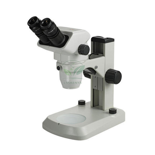 Stereoscopic Microscope