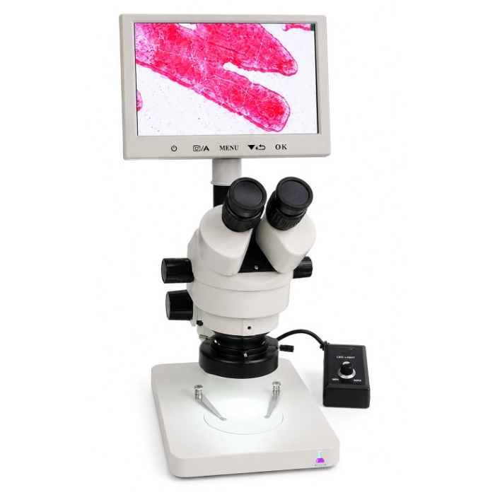 Digital Microscope
