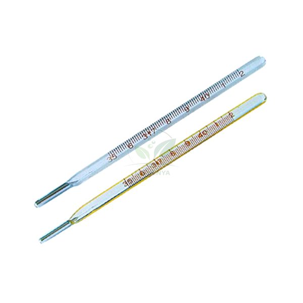 Thermometer Oral Prismatic
