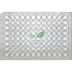 Microtiter Plate